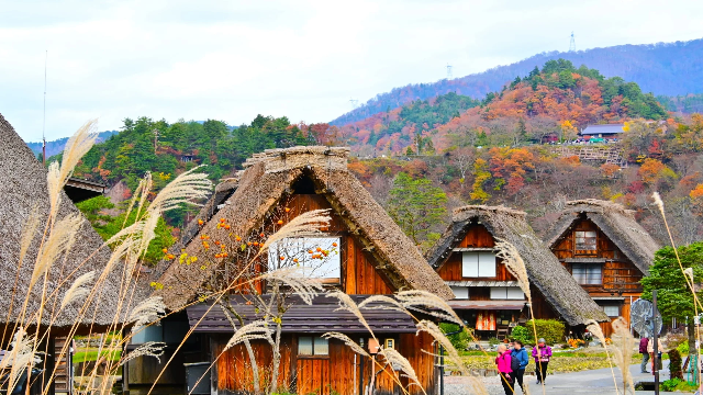 Wisata Tersembunyi di Jepang yang Jarang Diketahui, Simak